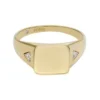 Anello con sigillo Ellis in acciaio inossidabile color oro