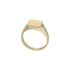 Anello con sigillo Ellis in acciaio inossidabile color oro