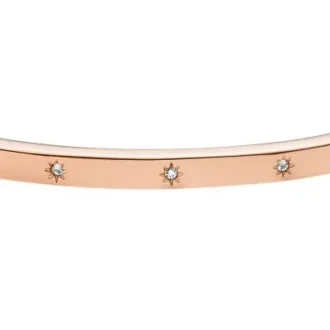 Bracciale rigido Sadie Shine Bright in acciaio inossidabile color oro rosa