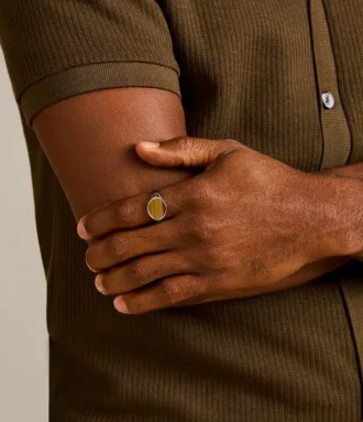 Collezione Ellis Signet Anello con sigillo in occhio di tigre marrone