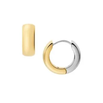 Orecchini a cerchio in acciaio inossidabile bicolore Ellis Domed Collection