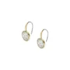 Orecchini pendenti classici Merrit in acciaio inossidabile color oro con madreperla