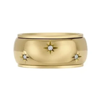Sadie Shine Bright Anello Fidget Band in acciaio inossidabile color oro