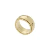 Sadie Shine Bright Anello Fidget Band in acciaio inossidabile color oro